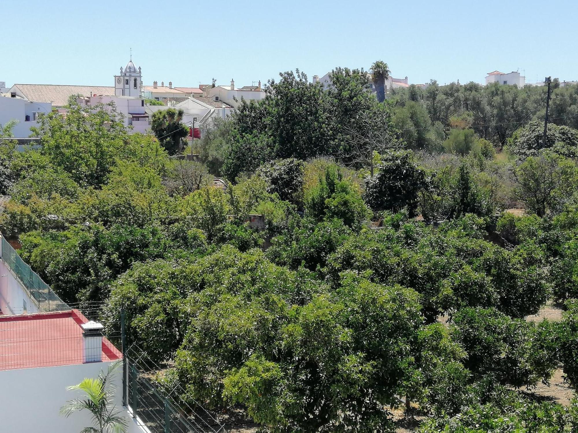 Villa Cerro E Mar Moncarapacho Bagian luar foto